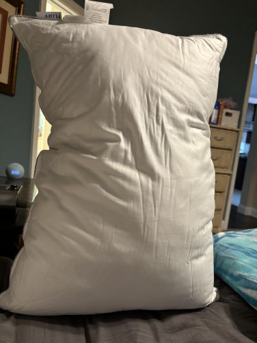 fluffco-pillow-user 1